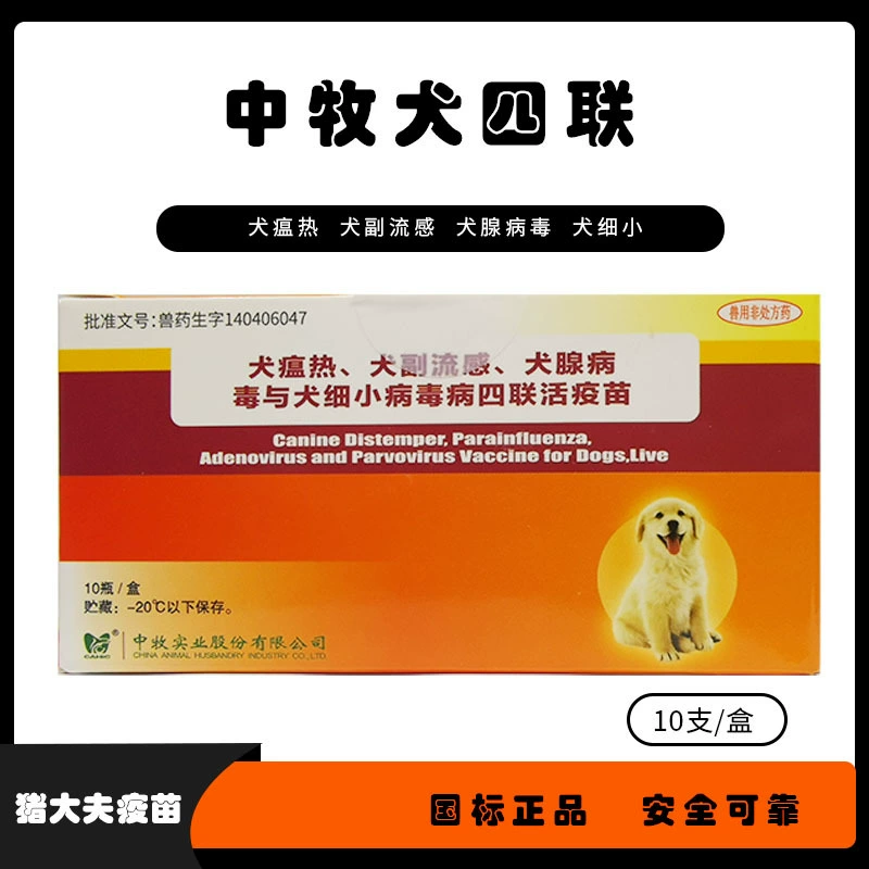 Квадривалентный китайский вакцинный препарат для профилактики парвовируса, чумы плотоядных и вируса аденовируса собак — это скретч-код.