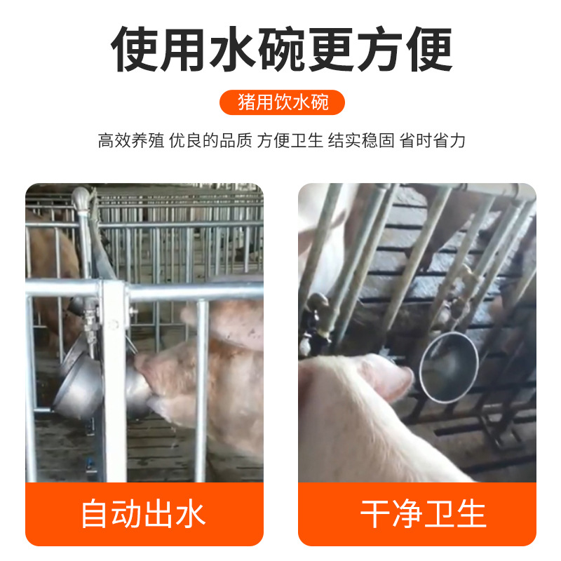 Recipiente de agua de cerdo 304 Acero inoxidable engrosado Piglet dispositivo automático para beber dispositivo automático de agua de cerdo