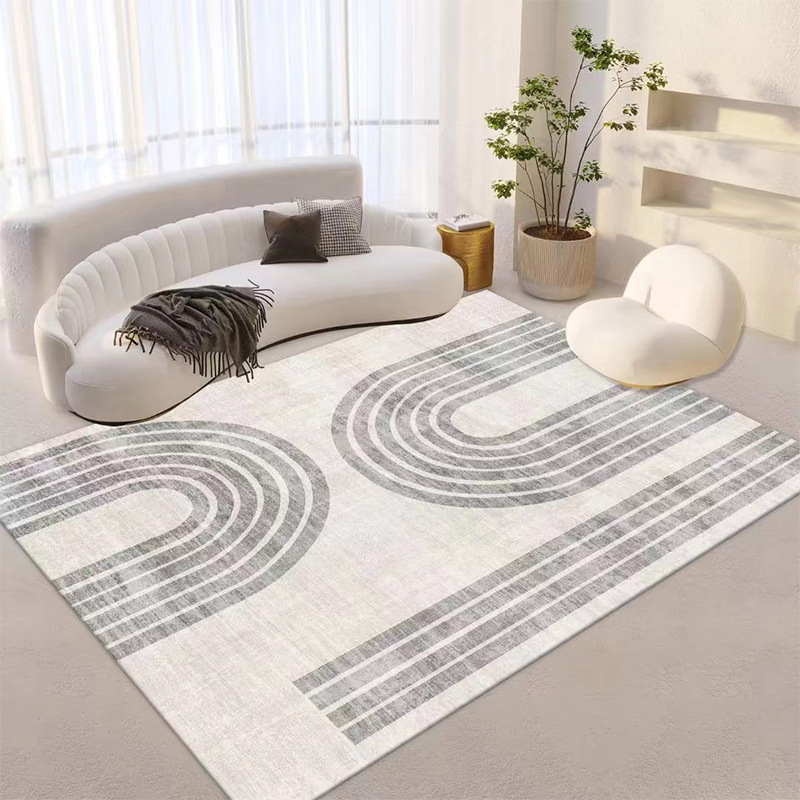 Carpet for living room, sofa for home use, (Physicals), simple and elegant design, Nordic style 3