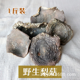 ��ϰ���ɽ�湽ĸ�i�����^���{�S�t��Ұ�������|ɽ�����B���|�t��