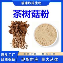 茶树菇粉Agrocybe Chaxingu Powder菌类生粉厂家现货量大从优1KG