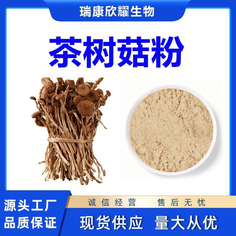 茶树菇粉Agrocybe Chaxingu Powder菌类生粉厂家现货量大从优1KG