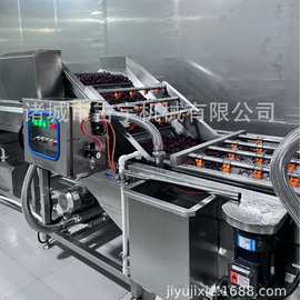 连续式热风红枣烘干机 枣片烘干脱水设备 红枣网带清洗烘干线