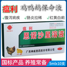 兽用药恩诺沙星溶液瘟利鸡鸭鹅保命液黄白痢霍乱清鸡痘康养禽常备