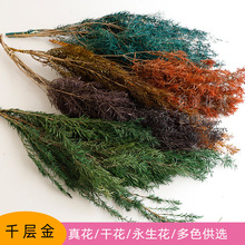 ǧ�ӽ�ɻ��������ֹ�diy�~�Ļ�c�廨��޹Ϟ�T���ֶY�ɻ����ϰ�