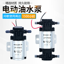 汽车货车淋水器配件混合型柴油电动水泵油泵12V24V大功率抽水油泵