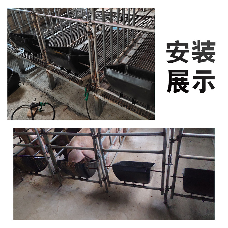 Sembrar a través de la cerda comedero de alimentación olla de alimentación de cama comedero Barra de posicionamiento de cerdo de acero inoxidable comedero de la cerda