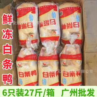 ����r�� 6ֻ�b27�� �חl����ֻ���� ���������ҹ���������������