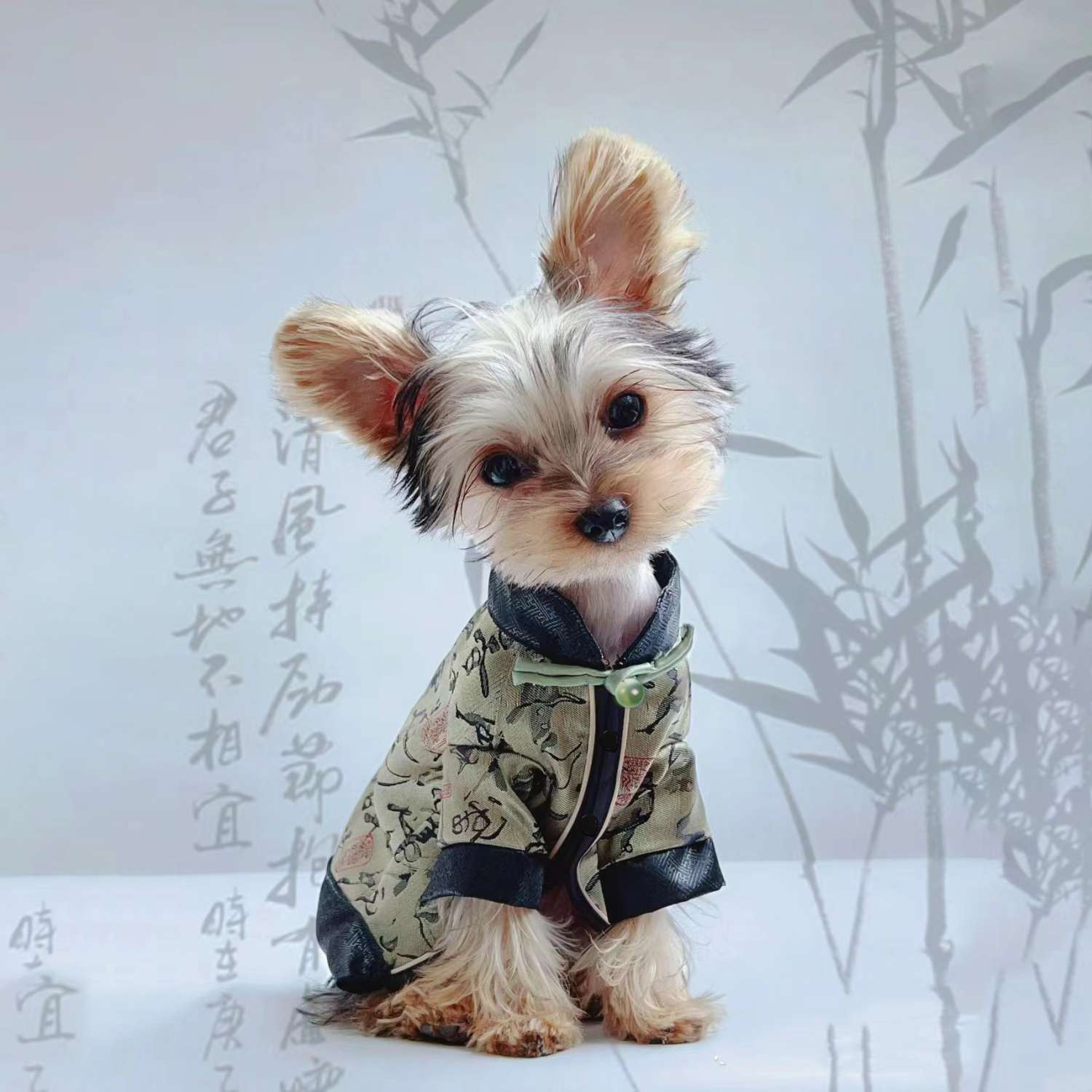 中国风书法狗狗衣服超轻薄个性泰迪比熊博美雪纳瑞小型犬马甲潮流