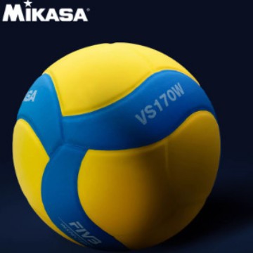 Mikasa Children's Volleyball No. 5 Ball International Volleyball Association Certified Vs170W