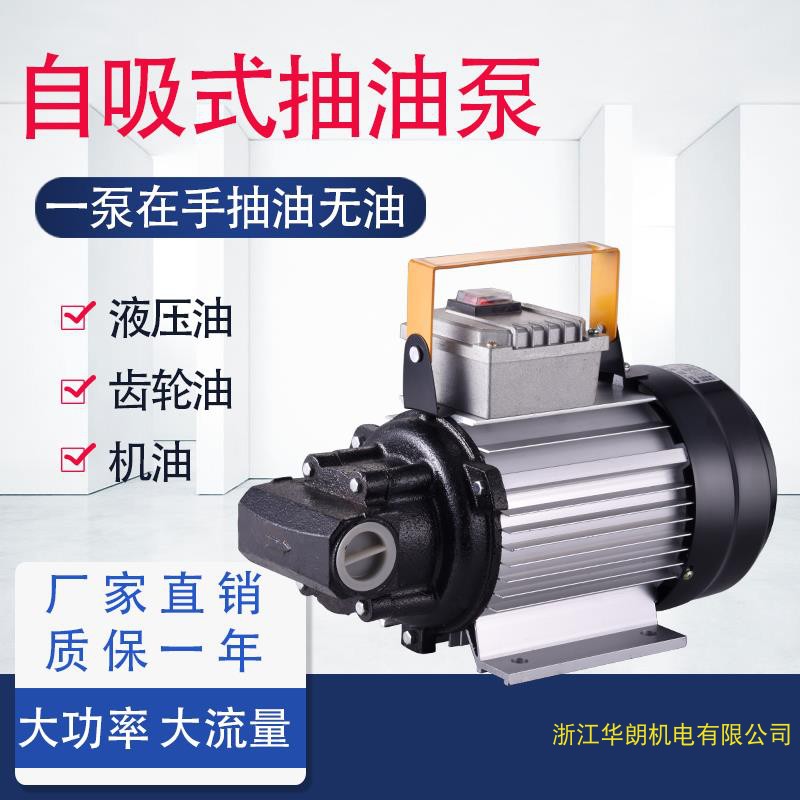 Inicio nueva bomba de engranajes eléctrica autocebante Hanlang 550 y 1100 vatios bomba eléctrica prensa hidráulica de gran flujo bomba de aceite cobre