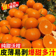 沃柑雲南高原新鮮水果橘子3/5/9斤甜過廣西武鳴皇帝橘蜜桔速賣通