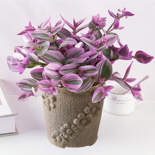 �ͮ���Y���m���Զ����\����ֲ���҃Ȼ���¶�m�����Gֲ���B���ļ�