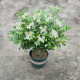 other product image