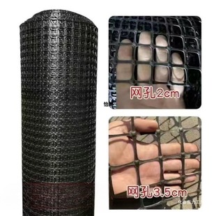 Thickened Plastic Fence Net for Raising Chickens and Ducks, Corn Net, Orchard Enclosure, Vegetable Garden Isolation Protection Net, Dropshipping