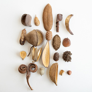 ֲ���ȫ�ɹ� �˱����diy�b� ������ղ��OӋ���ĵ���
