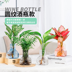 ガラス水培植物プラスチック樹脂透明植木鉢水養緑植客間装飾緑羅銅銭草花瓶