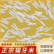 小包装猫牙米长粒香大米新米2023年丝苗正宗泰国香米形状5斤
