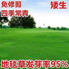 ��ƺ�����ļ������o�¹�����ͥԺ��̺�ݷN�ӾG���R����������Ƥ��