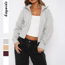 迪芸跨境欧美高级简约时尚长袖纯色毛织女装2025秋冬亚马逊独立站