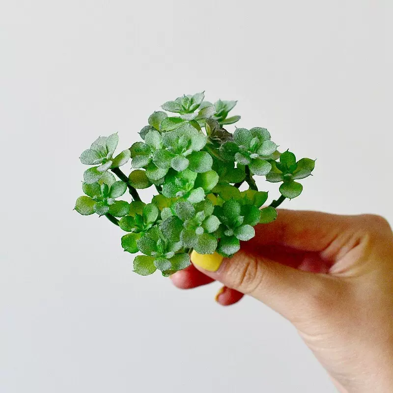 多肉植物假花绿植装饰品仙人掌室内办公室桌面小摆件组合盆栽鲜花