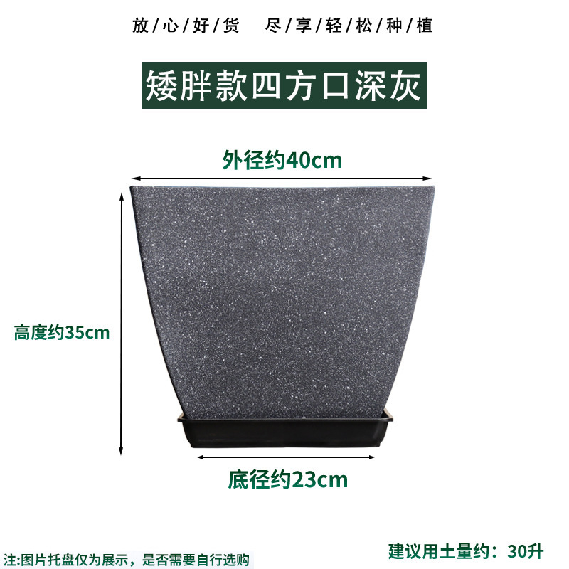 ユニバーサル工場直発セメント樹脂プラスチック客間大植木鉢亀背竹発財樹天国鳥緑植盆|undefined