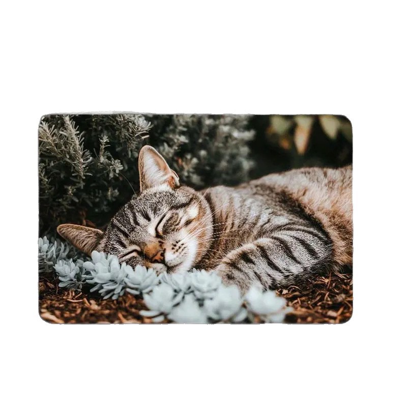 Non-slip Decorative Bathroom Floor Mat Printed American Style_voghion.com