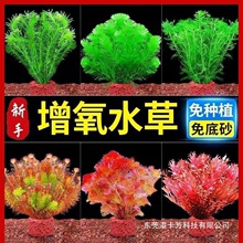 �݈�ֱ���B�~ˮ�݃����~��ˮ���쾰��ˮ���^�p�����ˮ�ݽM���ײ�