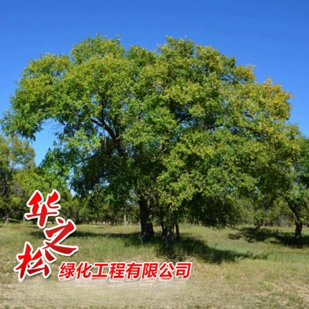 微信图片_20241009135454