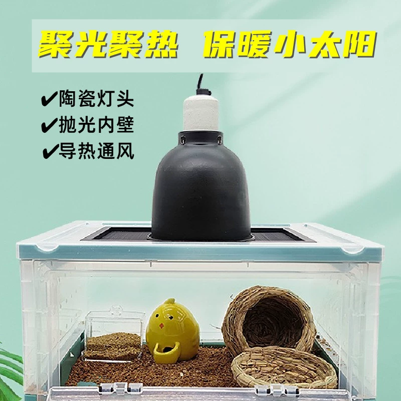 Гусеничный альпинистский ящик для домашних животных с тропическим лесом цилиндр коробка ежедневный свет ночник черепаха хомяк медовая сумка Золотой медведь коробка для кормления клетка теплый свет