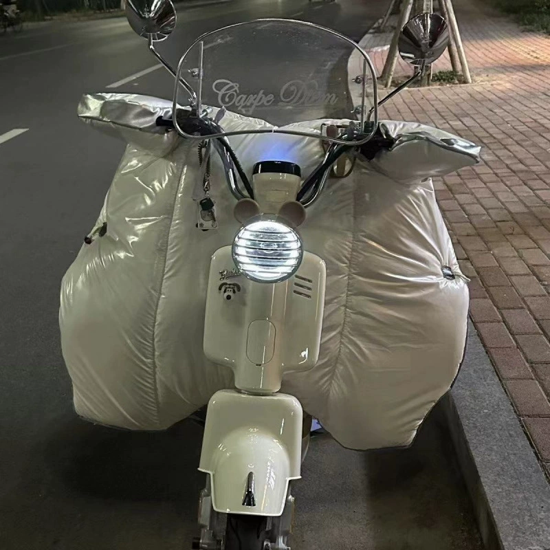 Windproof waterproof keep warm electric car with down, sun protection
