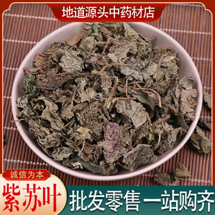 紫蘇葉紫蘇葉圖片 海量高清紫蘇葉紫蘇葉圖片大全 阿里巴巴