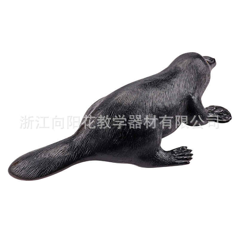 厂家直销3237 仿真鸭嘴兽生物教学模型