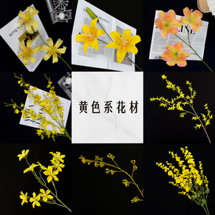 ���������˼�������b�����ӻ�c�Ɍ�������Ӱlؔ���b���