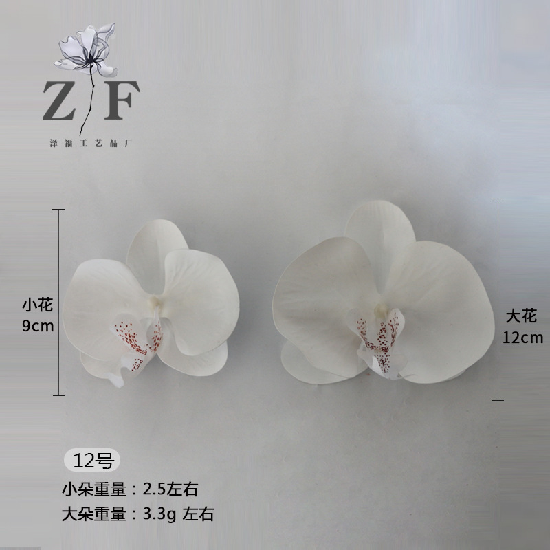 12호(대)