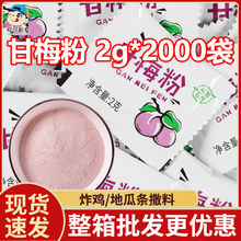 甘梅粉小包2000包小包撒料商用批发鸡排炸鸡调料梅子酸梅粉地瓜条