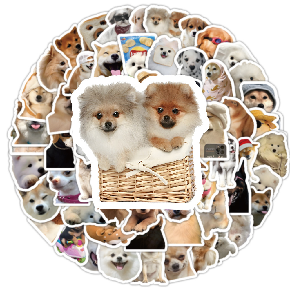 1 Set Dog Cat Learning PVC Self-adhesive Cute Stickers display picture 34