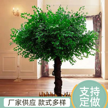 ���Ʒ����Ř�������ֲ���b�d�b��쾰С�䌍ľ��ɾ��^��