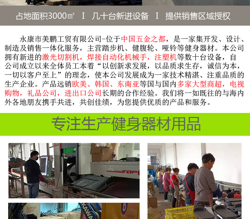 扶手款踏步機
