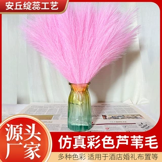 人造芦苇43cm蒲苇潘帕斯草狗尾草temu跨境