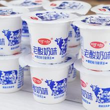 网红甜品非饮料小瓶装迷你酸奶风味果味饮品学生早餐儿童零食批发