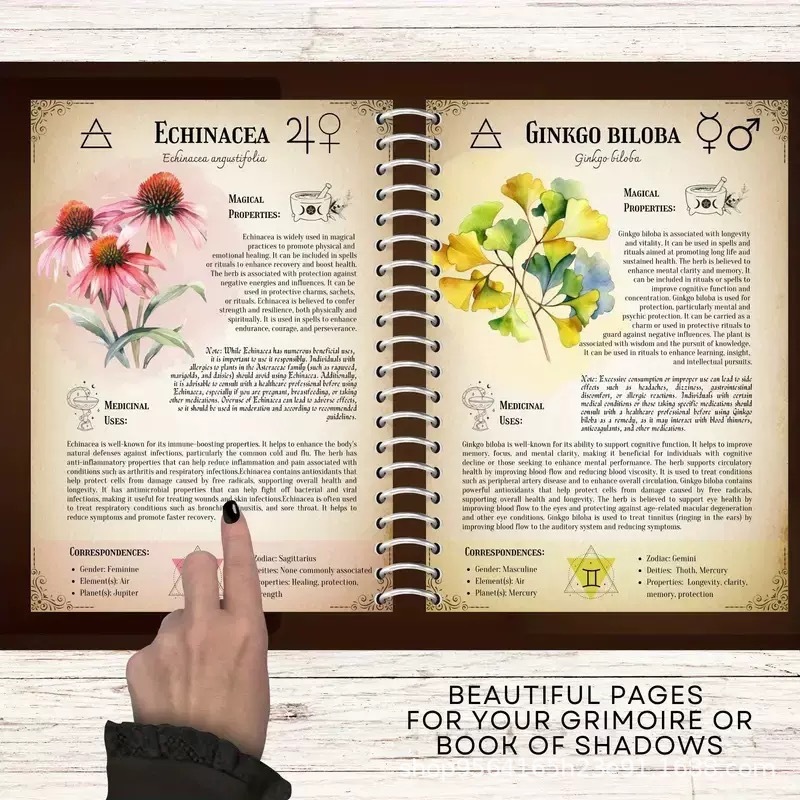 亚马逊新品   魔法草药记录本Herbal Grimoire笔记本日记本记录本|undefined