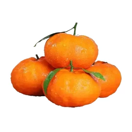 块茎类;苹果;其他水果