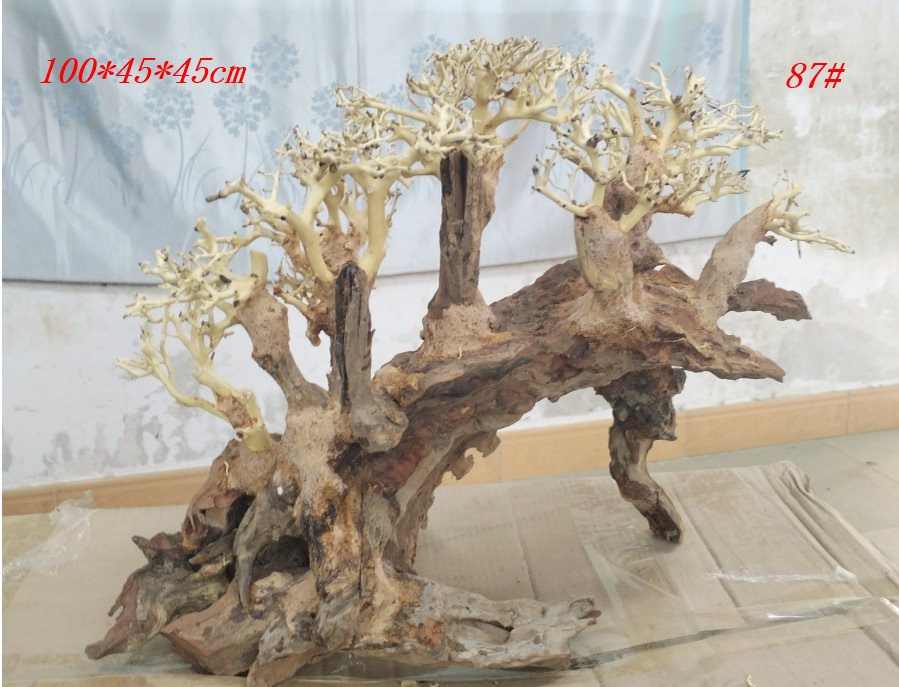 Бразильское дерево 87#19IL.