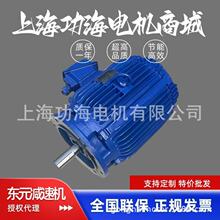 台灣TECO東元冷卻塔專用電機   馬達  三相異步電動機 金日冷卻塔