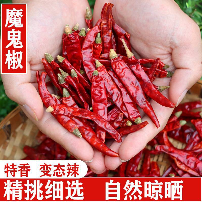 特辣辣椒干辣椒干货特香超香红辣椒朝天椒湖南特产魔鬼椒手工500g