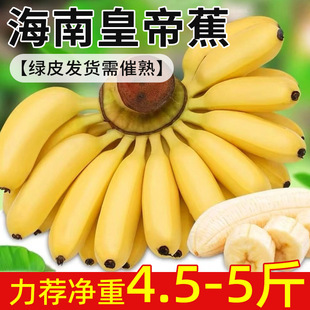 ���ϻʵ۽��GƤ�l؛�����һ�����l�������rˮ���������Ꭷ��