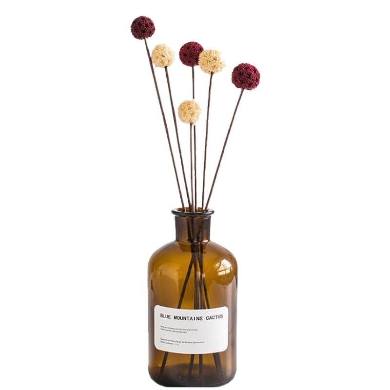 Jarrón de vidrio transparente simple Boca Grande florero hidropónico decoración de flores secas florero accesorios de tiro botella de reactivo