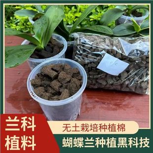 �m��ֲ�Ϻ����m���ˠI�B��̿�މK�Gֲ�ϳ�̼�޻��|��K������ֱ�N