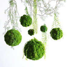 ����̦�\��Gɫ�Ғ���̦��ɭϵ�쾰��c���♻�����ܛ�b�ҵ�ʽ��